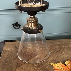 Elegant Black and Gold Ceiling Light Fixture